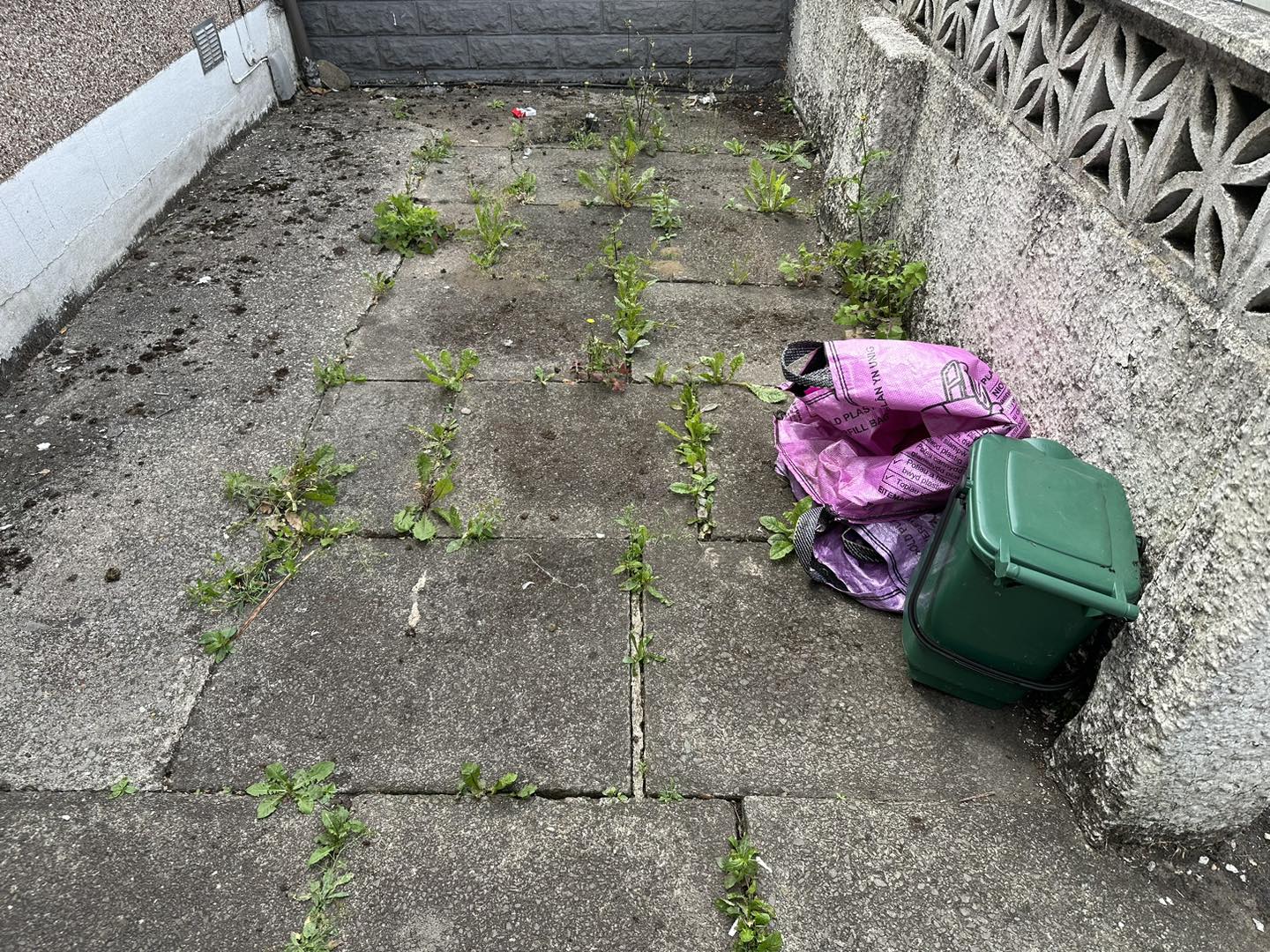 a photo of a plastic recycling bag and over grown weeds in a garden in Neath, Port Talbot, And Swansea