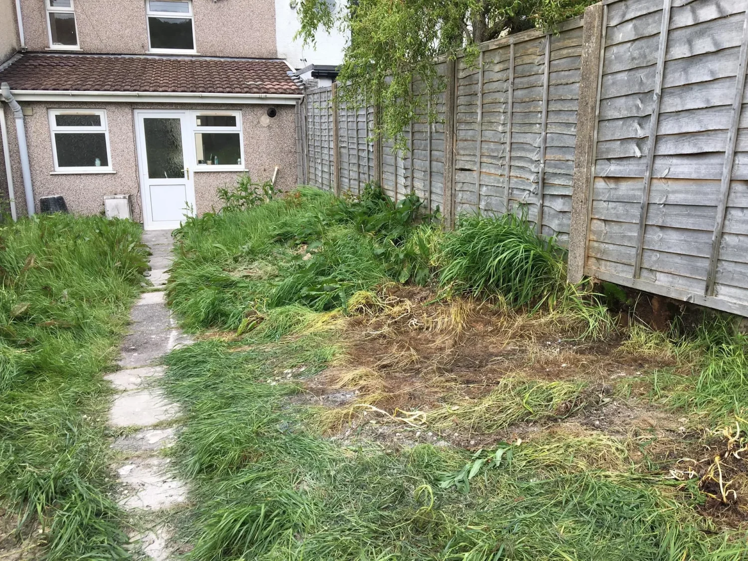 A photo of a back garden with no waste